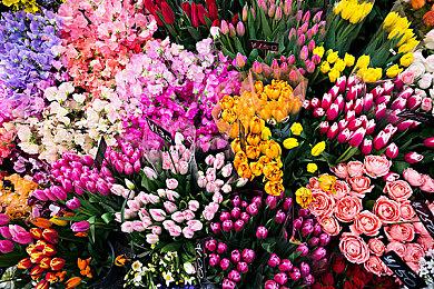 小岛秀夫坦言《OD》或遭反感 但短期内他并不在意